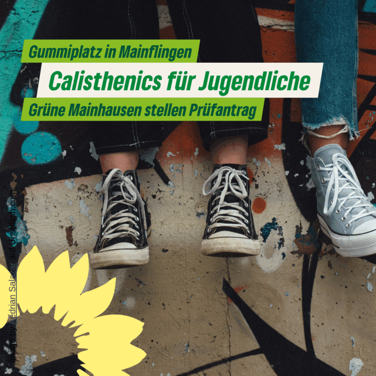Calisthenics für den „Gummiplatz“